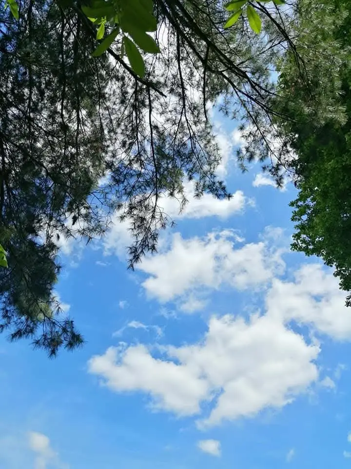 Air