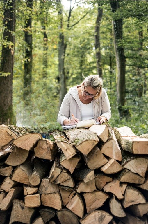Au cœur de la forêt